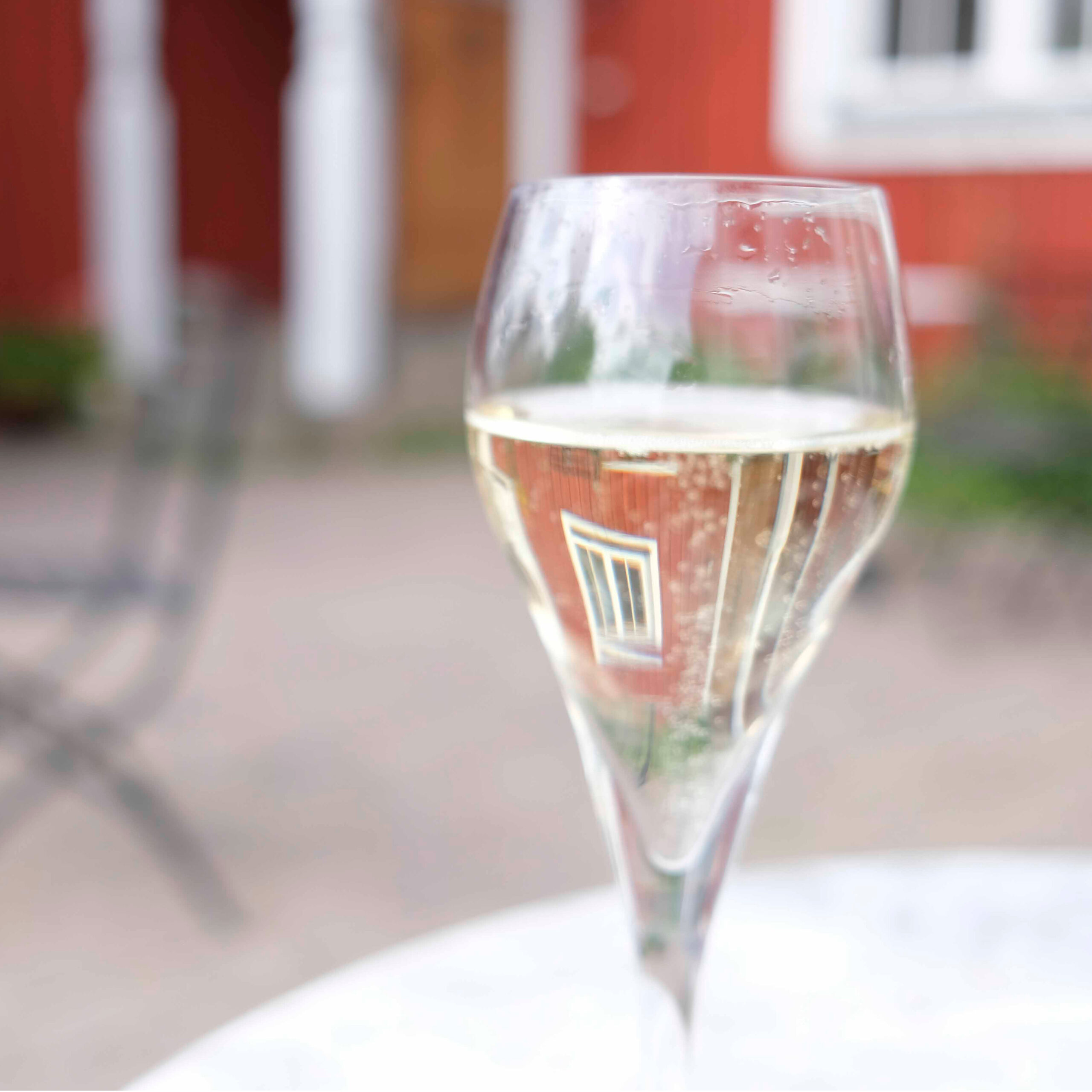 Svenska vingårdar Blacksta vingård