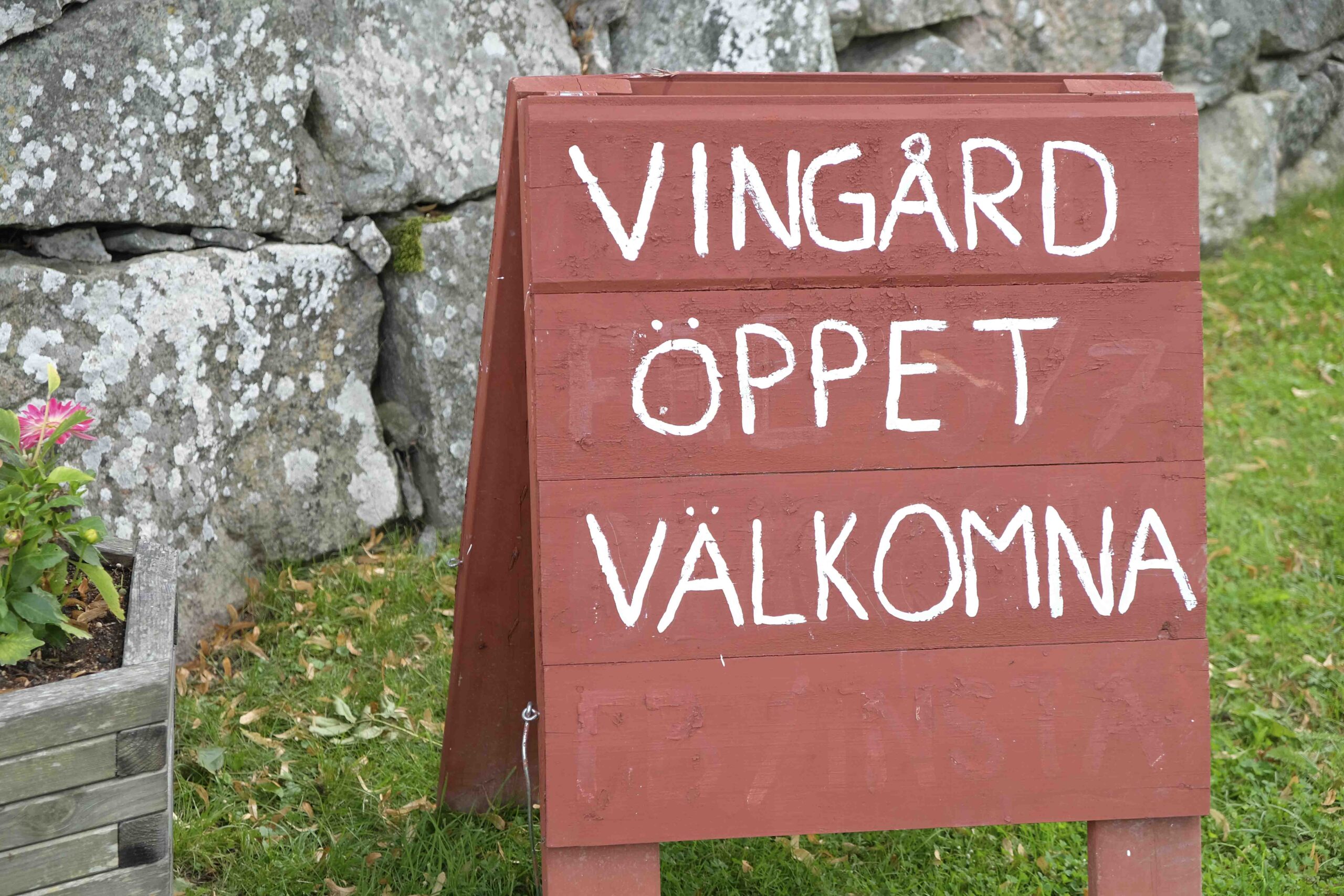 Blacksta vingård svensk vingård Sverige