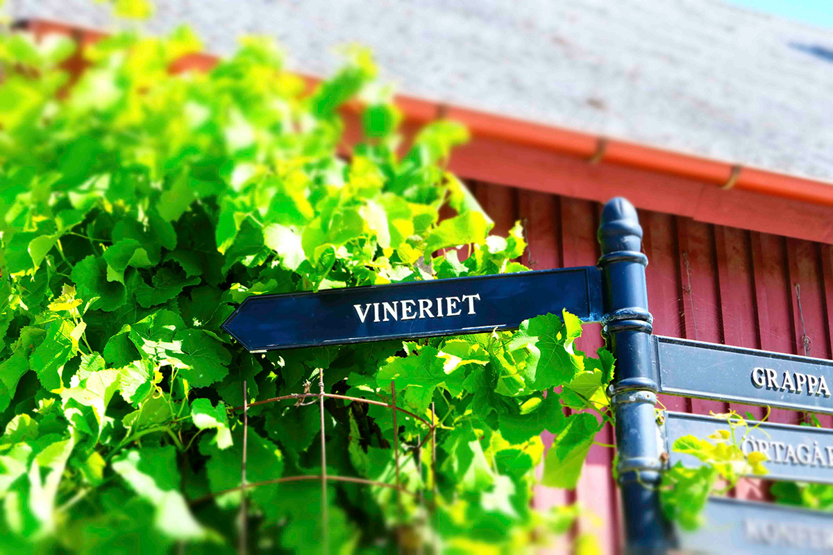 Flädie mat och vingård