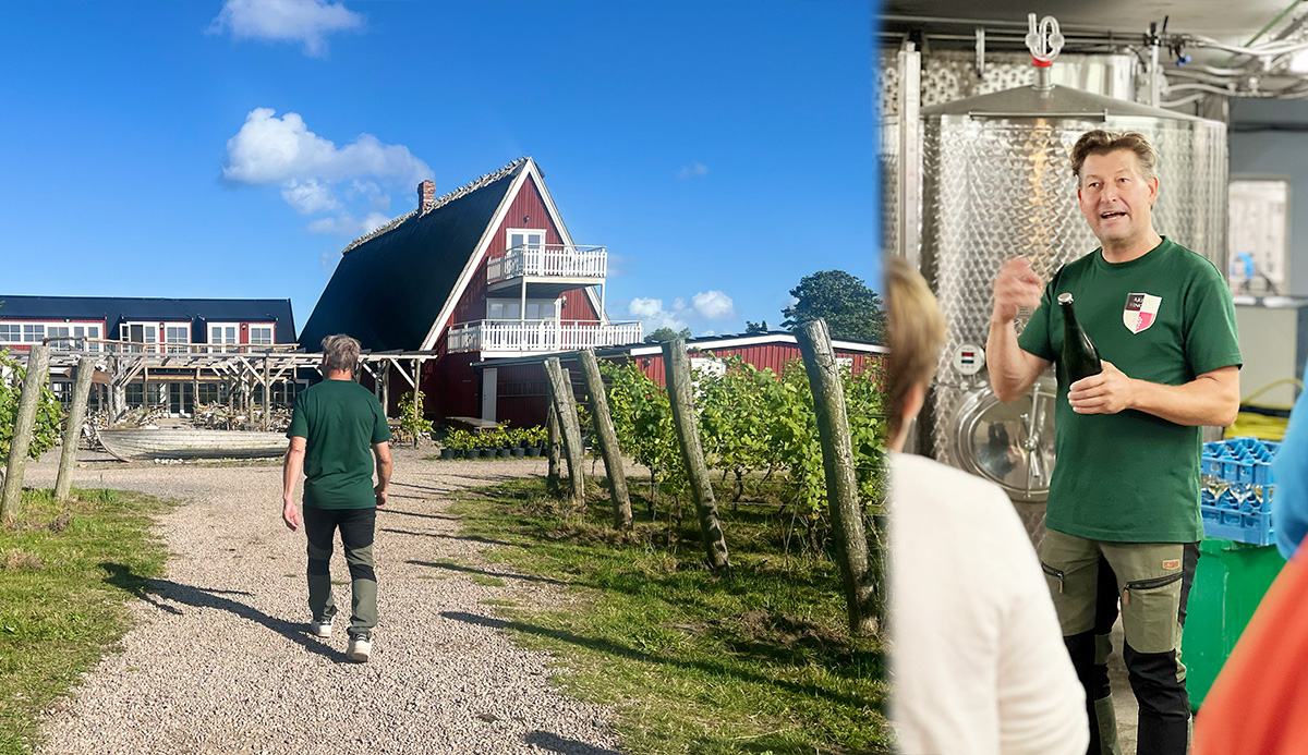 Svenska vingårdar värda ett besök Arilds vingård