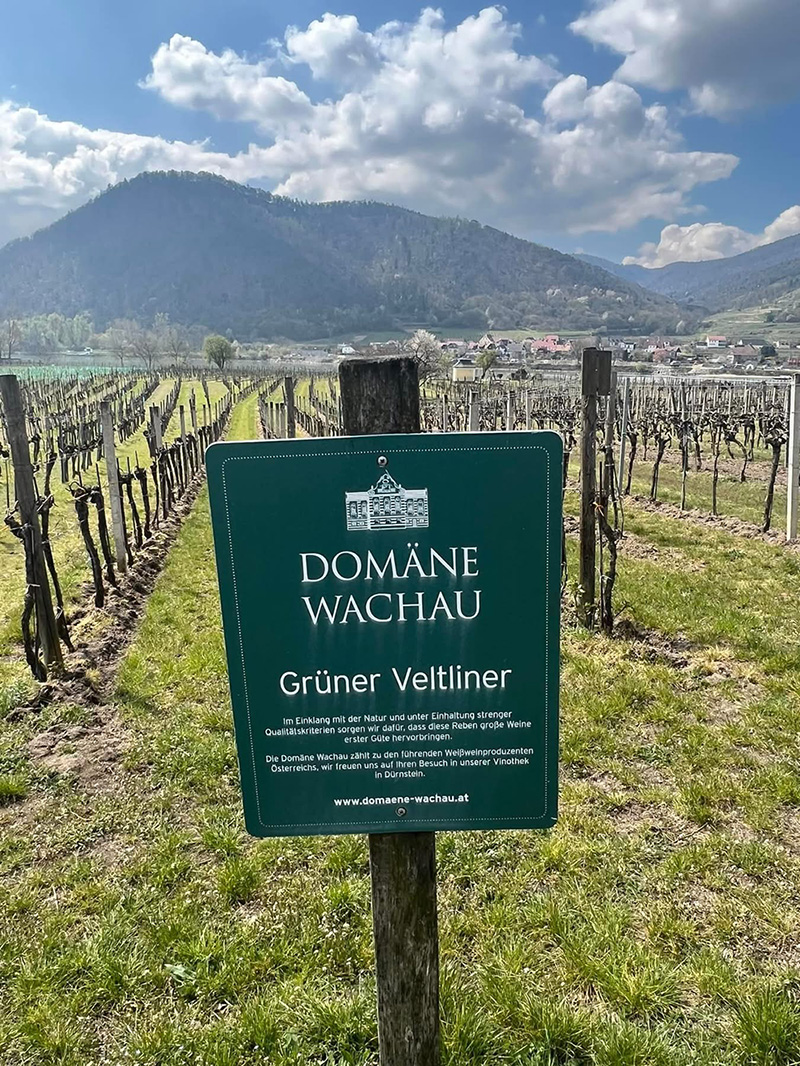 Vinmakare och andraviner